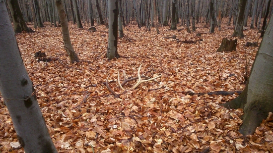 nevidany prvy pohlad