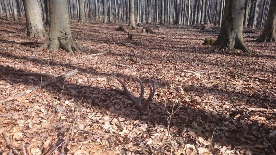 keď som už ani nedúfal