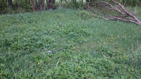 včerajší desatorák od potoka