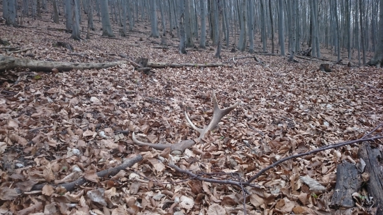 prvý pohľad je najkrajší