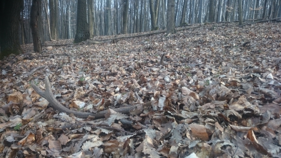 Keď už je v hore kľud