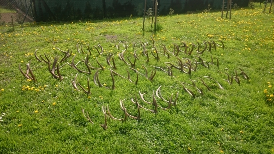 Pre túto sezónu fajrontová