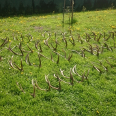 Pre túto sezónu fajrontová