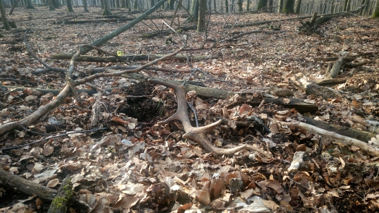 Keď som už ani nedúfal