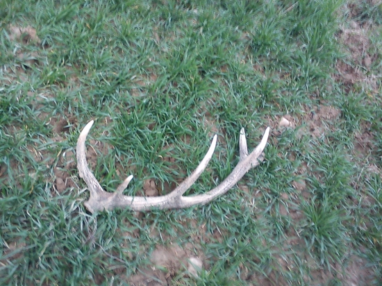 V Utorok sa aj mne konečne zadarilo