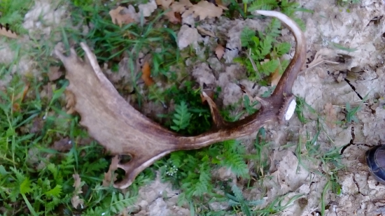 Konečne po toľkých kilometroch v nohách