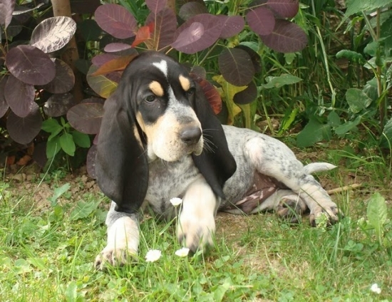 Začiatok príbehu ...