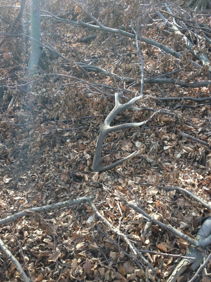 Môj druhý zlatý pohľad