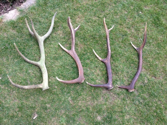 Dnešná nadherna prechadzka