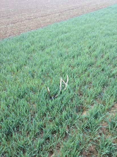 Najvyšší čas ho dvihnut...