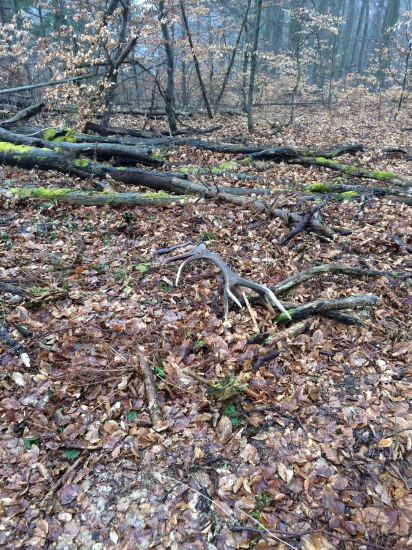 Najkrajší je prvy pohľad