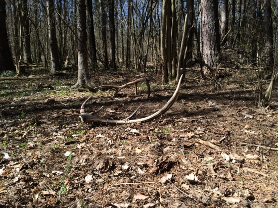 Aprílové slnečné ráno