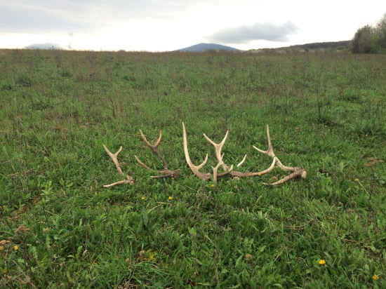 Dnešné šťastie spolu s jan1008NY