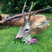 Staručký , vzácny princ