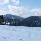 Šuňavská dolina
