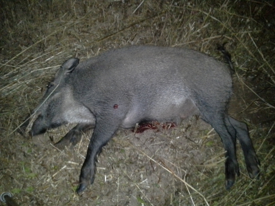 Piatkový spln