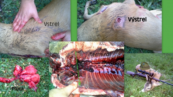 Sako hammerhead- 7x64