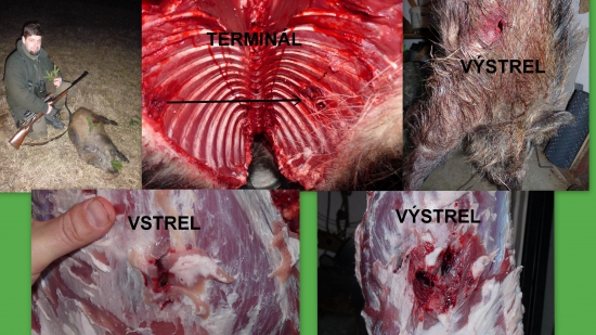 Sako hammerhead 7x64