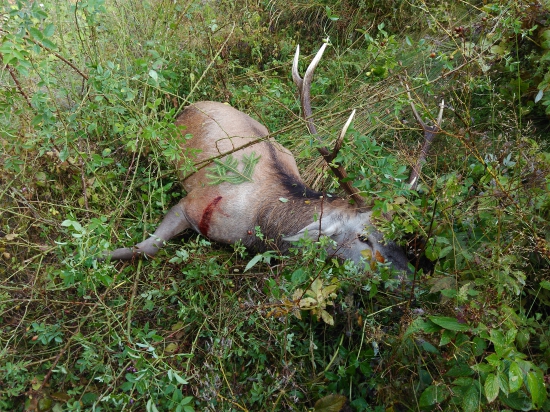 Takto som ho našiel