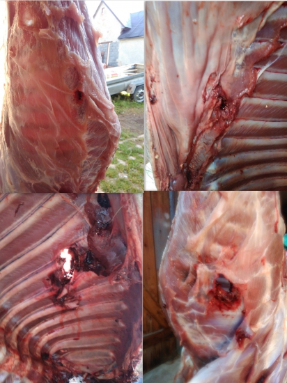 Geco plus 12,7g; 8x57 JRS