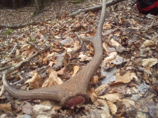 už aj teké zrucujú