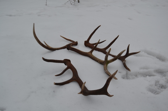 Veľkonočná nádielka