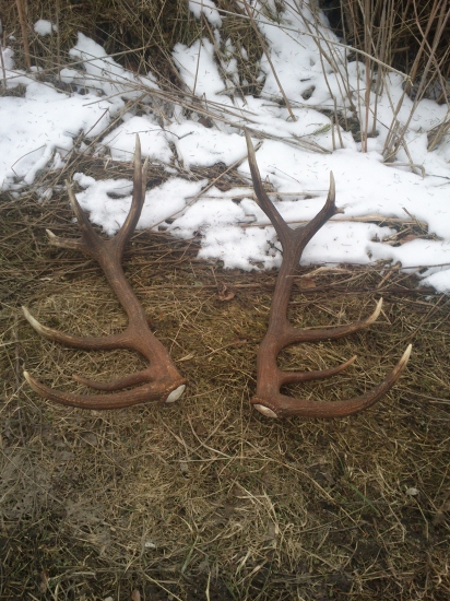 pára k ID fotky: 296712