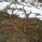 pára k ID fotky: 296712