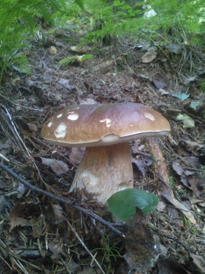 ako z rozprávky ;-)