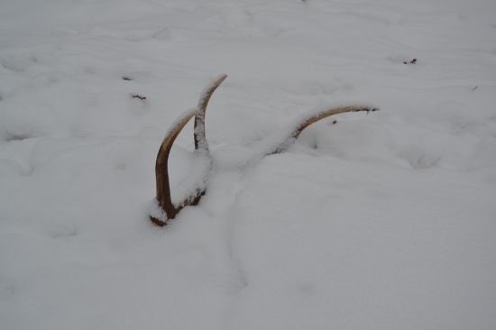 To snad není pravda