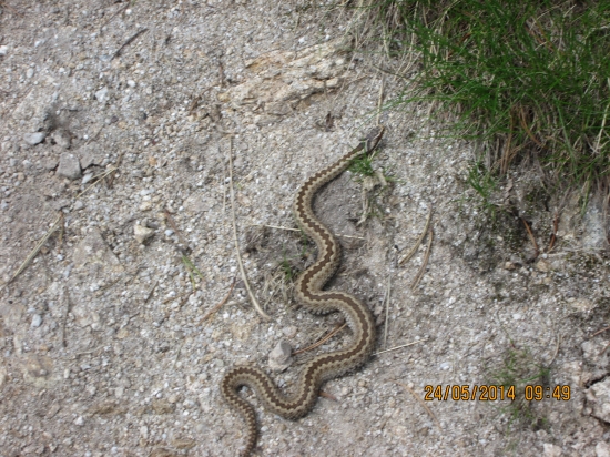 ..na chodníkoch opatrne..