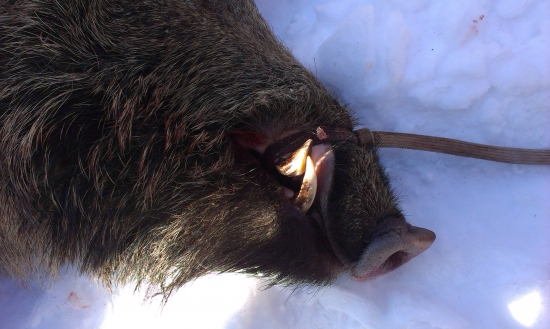 Ešte s minuloročnej spoločnej ;)