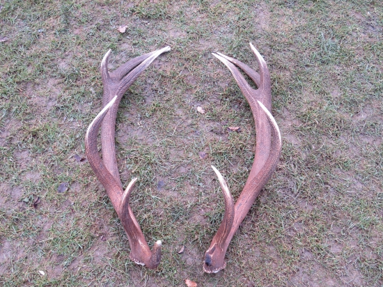 konečne sa zadarilo