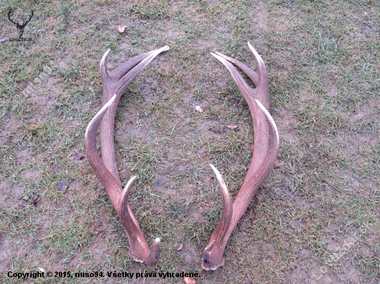 konečne sa zadarilo