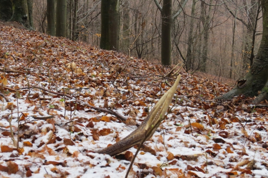 Takto ma rok čakali