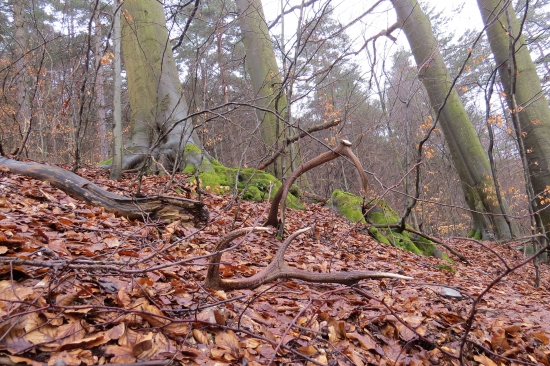 Takto na mňa čakali