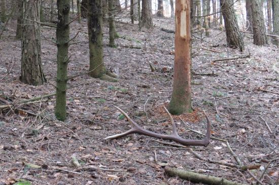 pohlaď ktorý poteší