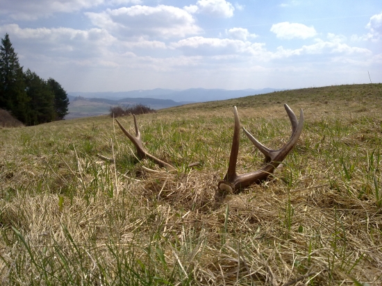 a takto si tam lezali