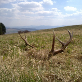 a takto si tam lezali