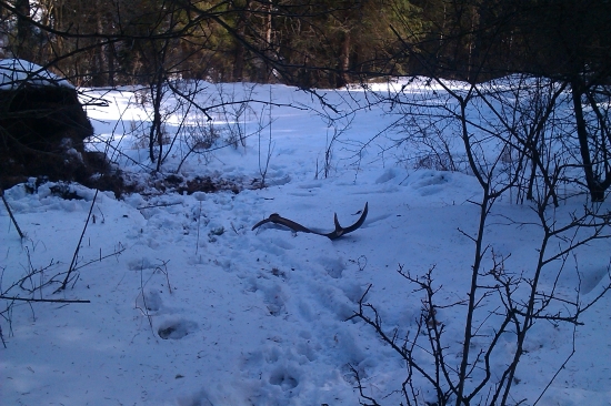 dalsia vydarena vychadzka