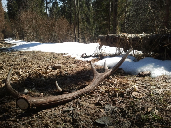 prvy pohlad,  na ceste