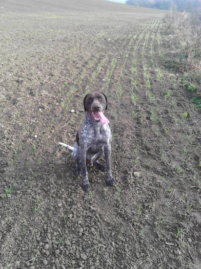 učíme sa poslúchať