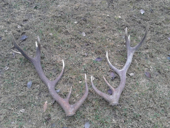 dnesna uspesna vychadzka