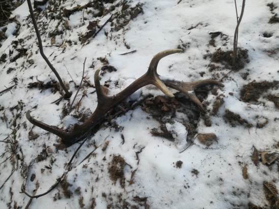 Strnasttorak 1,4kg,74cm