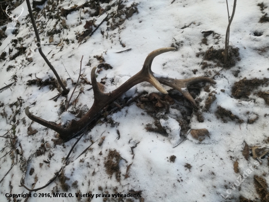 Strnasttorak 1,4kg,74cm