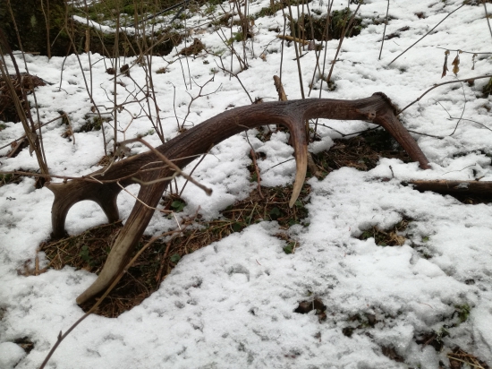 Prehliadnuty 16-torak