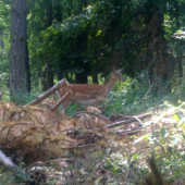 cez prestavku v robote