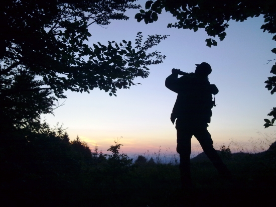 vecerne vabenie .....