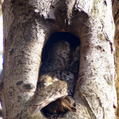 štastie ze som si ju všimol .
