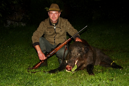 Diviak zo včerajšieho večera